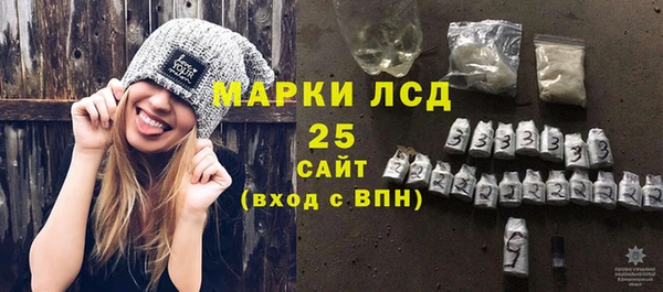 СК Бородино