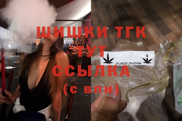 СК Бородино