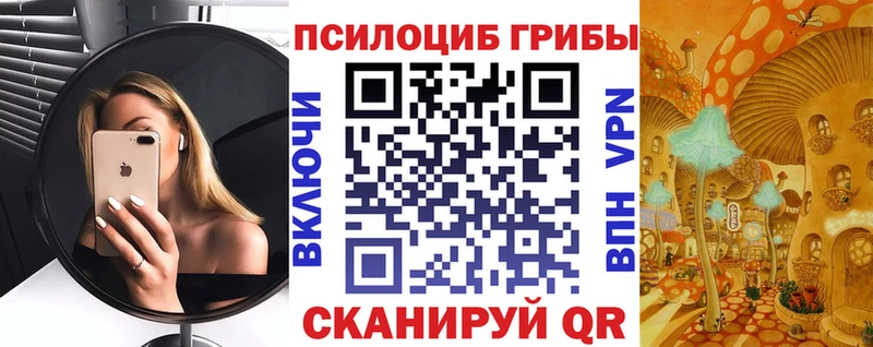 купить   Махачкала  Галлюциногенные грибы MAGIC MUSHROOMS 